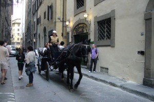 Firenze horse and cart (600 x 401)